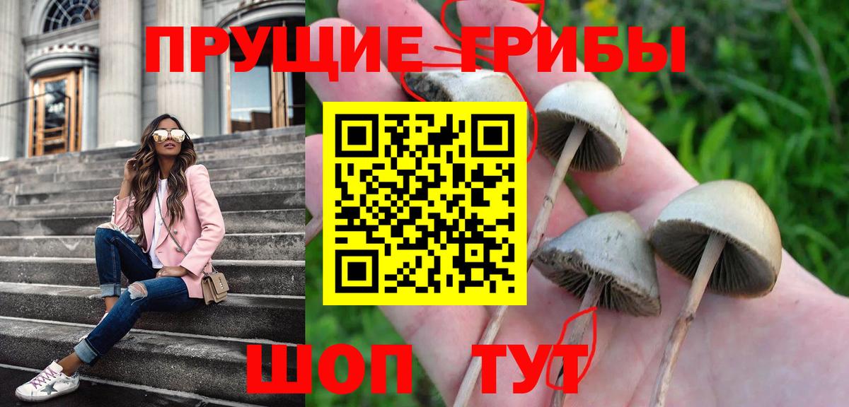 Галлюциногенные грибы мицелий Наро-Фоминск